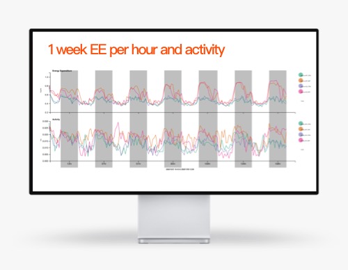 Real Time Experiment Evaluation