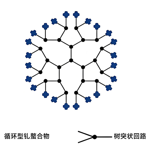 树突.png 树突.png
